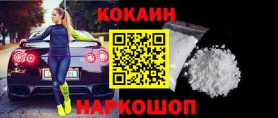 шишки Тара