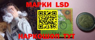 шишки Тара