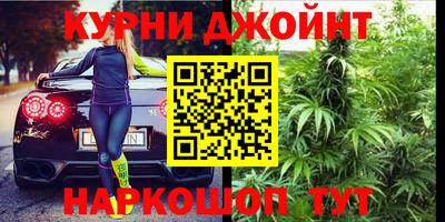 шишки Тара